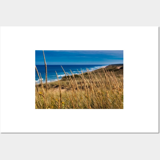 Dune Grass Wall Art by Robert Alsop